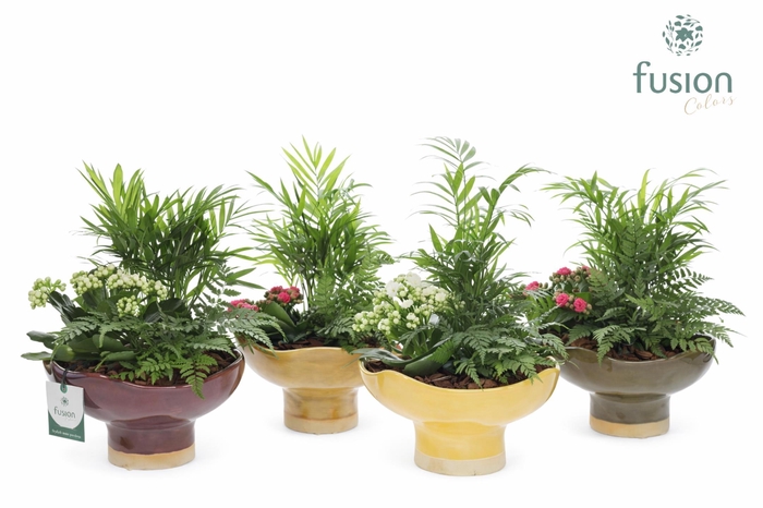 <h4>Keramiek schaal Large met Arrangement</h4>