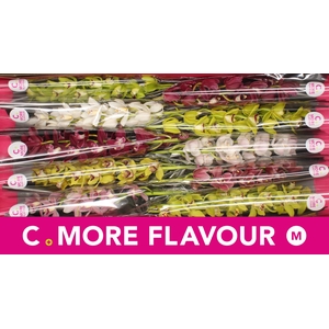 Mini cymbidium 'Mix 60 cm'