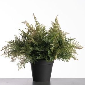 AF Leather Fern pot 74cm Green