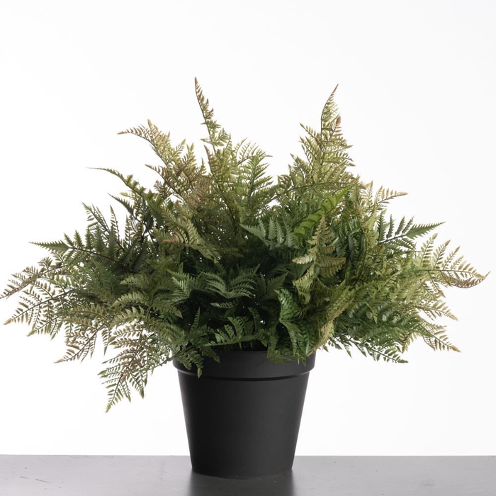 <h4>AF Leather Fern pot 74cm Green</h4>