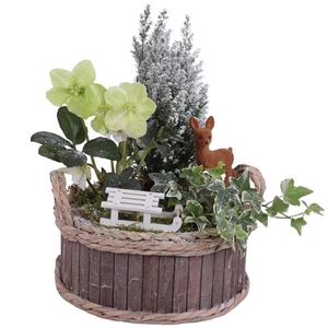 Winter Arr. Outdoor Wooden Pot Round Waterhyacint Rim Ø25cm 3PP