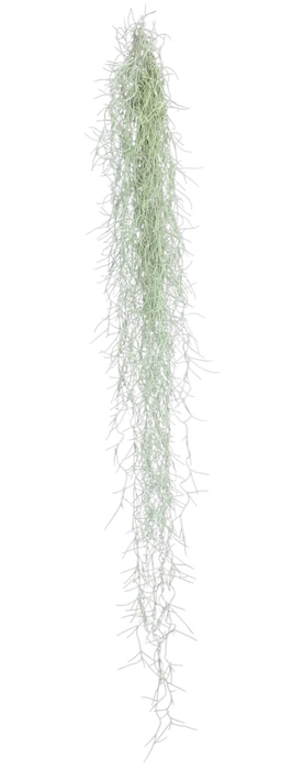 <h4>TILL USNEOIDES</h4>