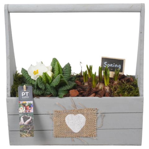 <h4>PTBM3187 Arrangementen Tuinplanten</h4>