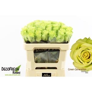 R Gr Green Generation