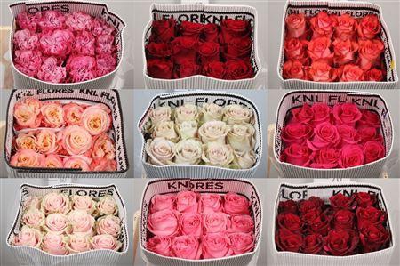 <h4>R Gr Gemengd In Fust Ec</h4>