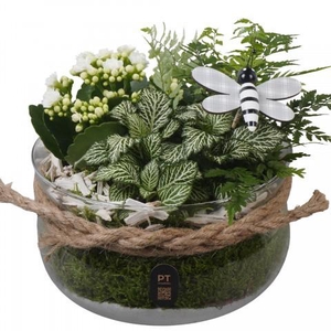 PTIG2628 Arrangement Indoor in glas schaal