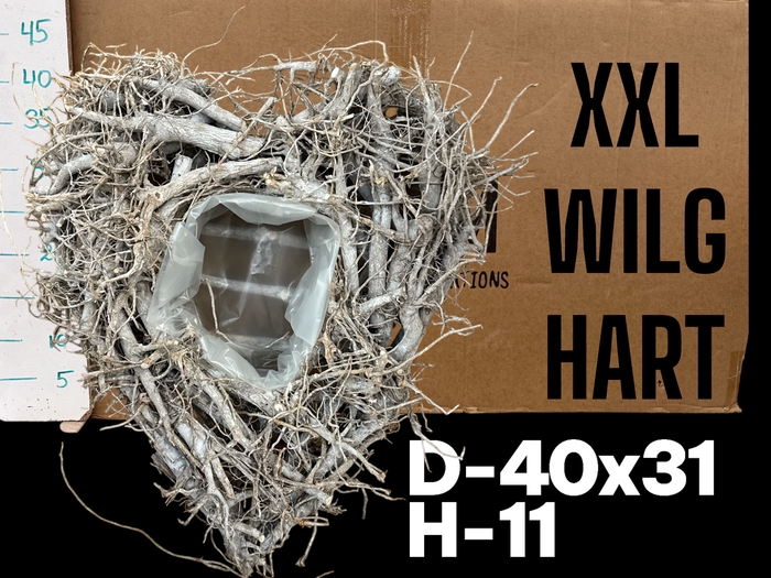 <h4>HUIS EN TUINDECO H%</h4>