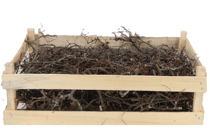 <h4>KERST DROOG H%</h4>