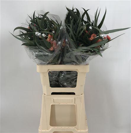 <h4>Euca Glob Flower Red</h4>