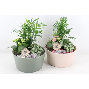 Arr2 Pl - Ker. Pastel Roze Groen X2