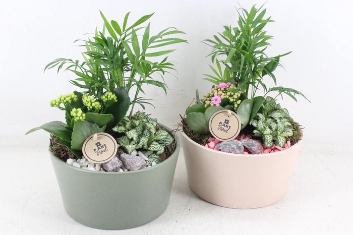 Arr2 Pl - Ker. Pastel Roze Groen X2