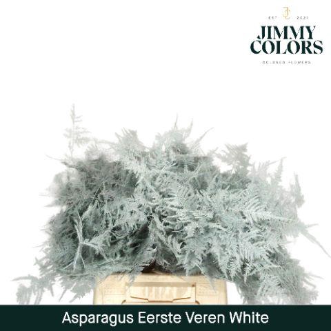 <h4>Aspa 1ste veren White</h4>