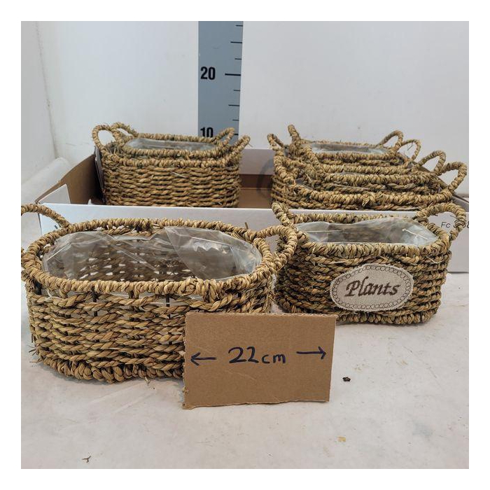 <h4>Mandwerk H%</h4>