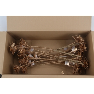 Stick Dahlia Spider Antique Gold