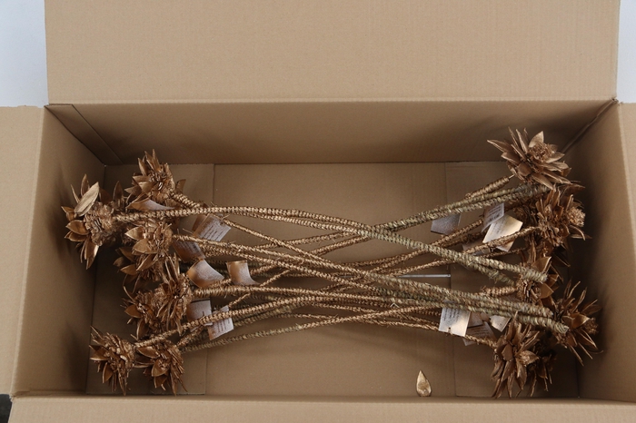 <h4>Stick Dahlia Spider Antique Gold</h4>