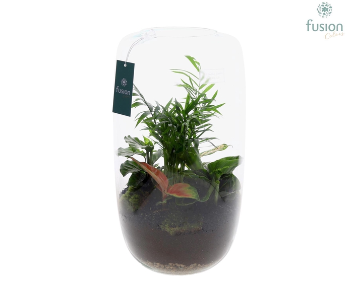 <h4>Green Bottle Isabella XXLarge met Groene Planten</h4>