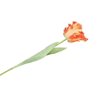 Silk Tulip Papagayo Orange/yellow 64cm