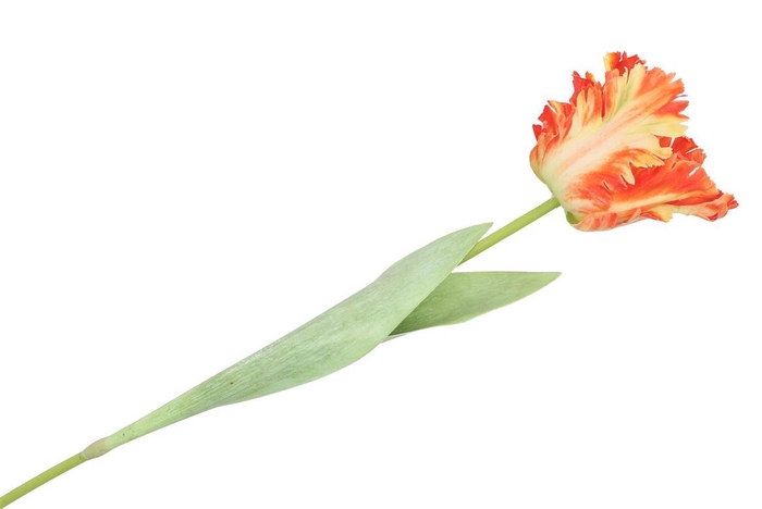<h4>Silk Tulip Papagayo Orange/yellow 64cm</h4>