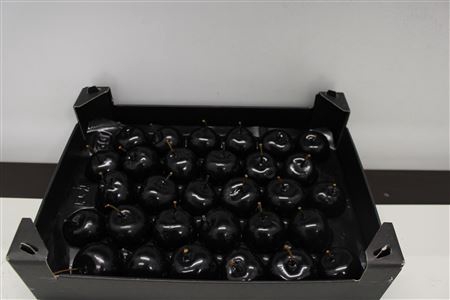 <h4>Waxappel Zwart</h4>
