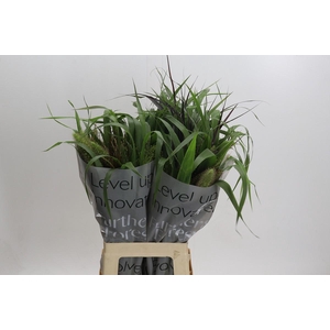 Grasses mix in bucket
