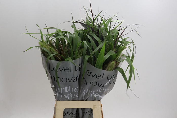 Grasses mix in bucket