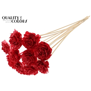 Shola Dahlia 6cm on stem Wax Red