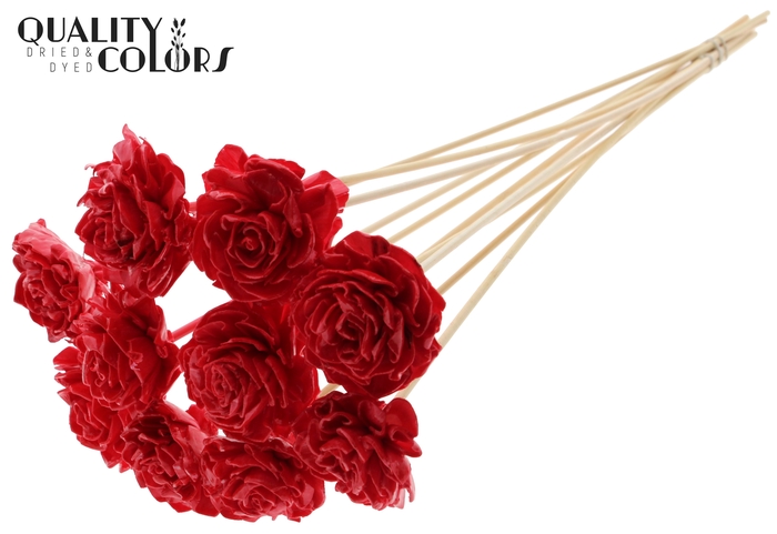 Shola Dahlia 6cm on stem Wax Red