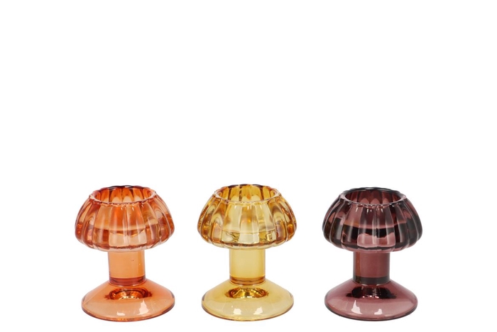 <h4>Nova Autumn Spices T-light Mushroom Structure Ass 8x8x9cm</h4>