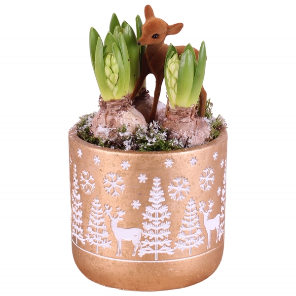 <h4>Christmas Arr. Hyacint Ceramic Pot round landscape gold 14cm 3PP</h4>