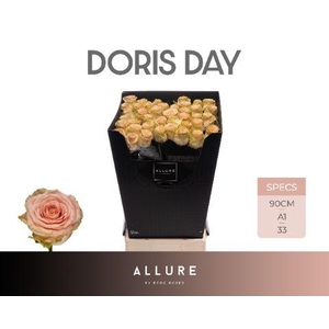 R GR DORIS DAY ALLURE