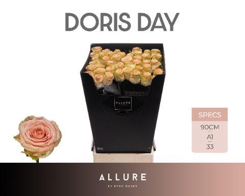 <h4>R GR DORIS DAY ALLURE</h4>