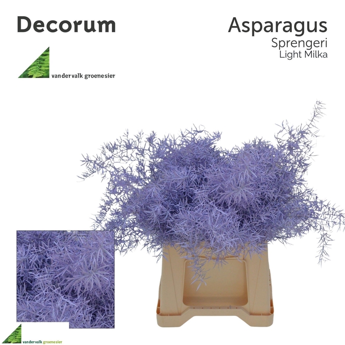 <h4>ASP OV KLB H%</h4>