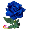 R Gr Tinted Dark Blue 60cm EC