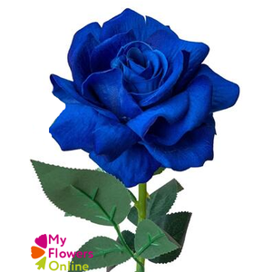 R Gr Tinted Dark Blue 60cm EC