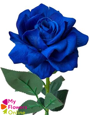 <h4>R Gr Tinted Dark Blue 60cm EC</h4>