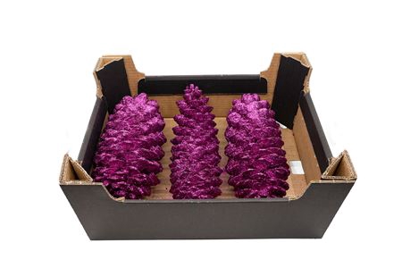 <h4>PINECONE SUGAR PINE PURPLE</h4>