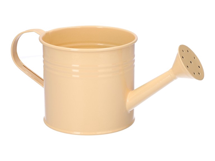 <h4>Watering can Maddock d12.5xh11.2 or</h4>