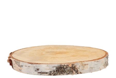 <h4>NATURE BIRCH SLICES ROUND D27-31CM</h4>