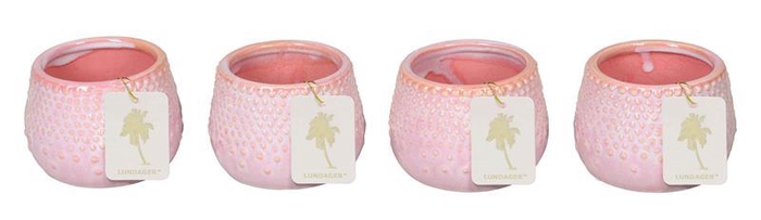 <h4>DIVERSE P6 L 808 PINK</h4>