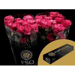 R GR Country Blues Box