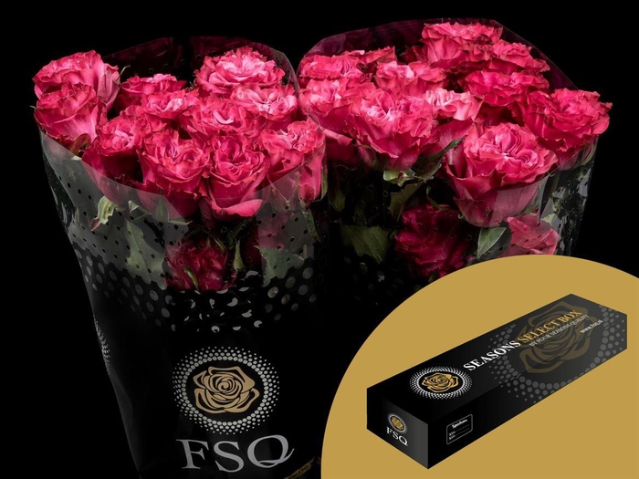 <h4>R GR Country Blues Box</h4>