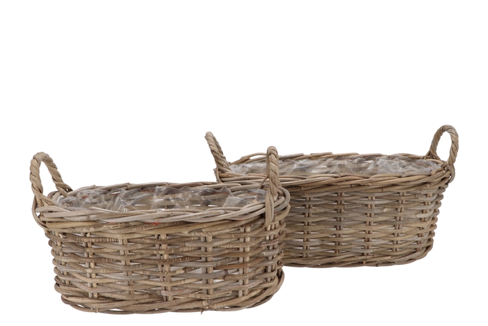 Rattan Ivy Basket Oval Ears S/2 L39/43 W17/21