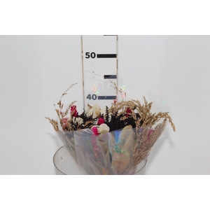 PLANTA SECA BUQUE VARIADO SEMPRE VIVA MULTICOLORIDO 40CM