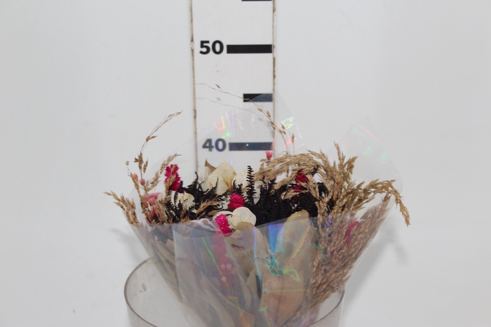 <h4>PLANTA SECA BUQUE VARIADO SEMPRE VIVA MULTICOLORIDO 40CM</h4>