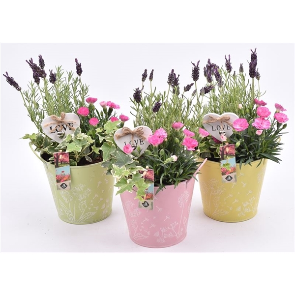 Zink pot bloemdecor k.mix 17cm