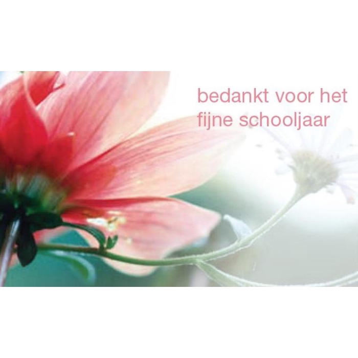 <h4>KAARTJE Bedankt voor het fijne schooljaar 50pcs</h4>