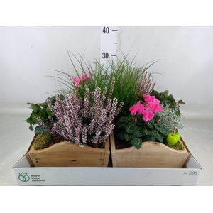 Arr.   Tuinplanten L%