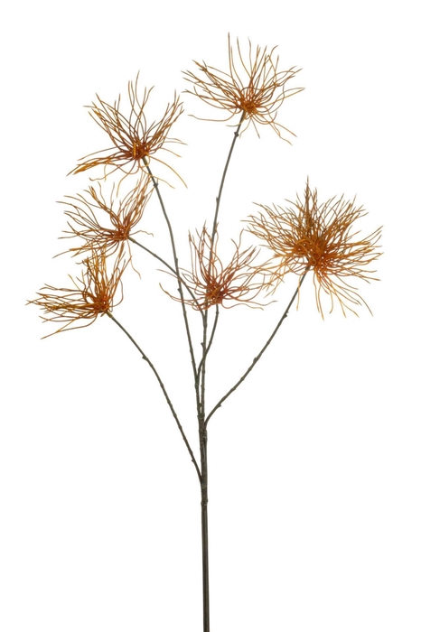 <h4>Anemone seed spray orange 110cm</h4>