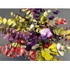 Euc. Cinerea Painted Monet