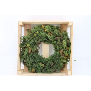 Wr Cypresse Pinecone 40cm